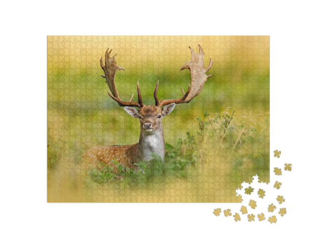 Puzzle de 1000 pièces « Daim majestueux dans la forêt d'automne, Dyrehave, Danemark »