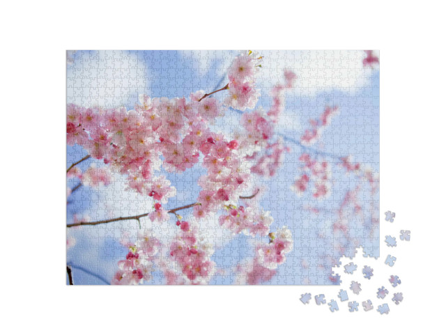 Puzzle de 1000 pièces « Sakura : des cerisiers en fleurs roses au printemps japonais »