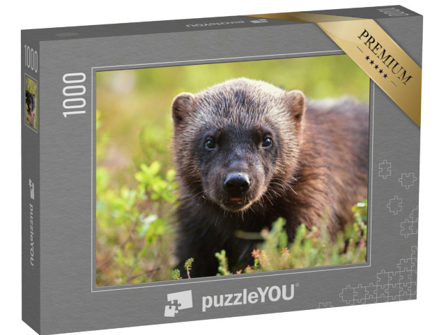 Puzzle de 1000 pièces « Portrait d'un glouton »