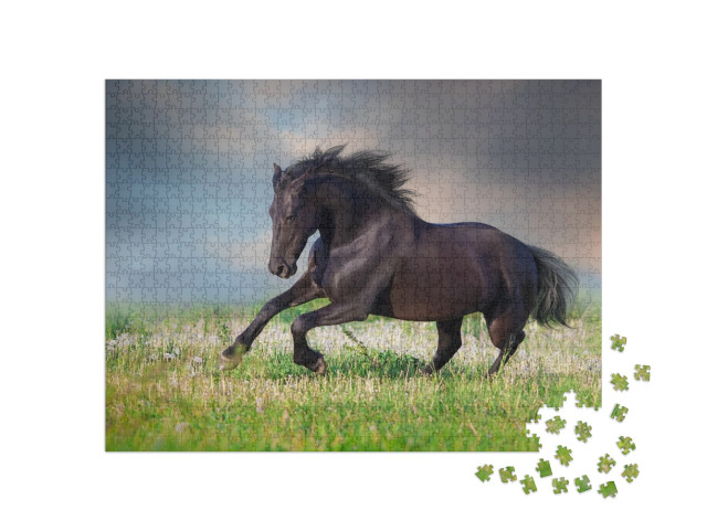 Puzzle de 1000 pièces « Cheval frison au galop dans un pré vert printanier »