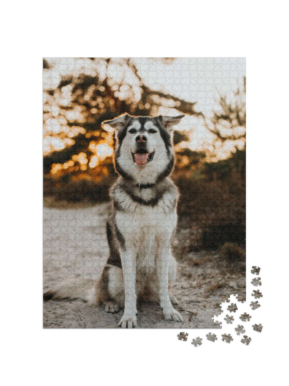 Puzzle de 1000 pièces « Husky Golden Retriever Mix »