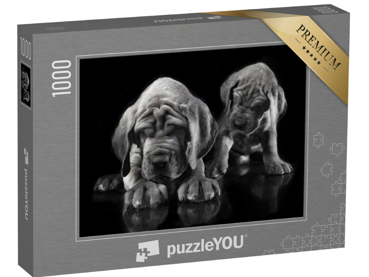 Puzzle de 1000 pièces « Dogue allemand : un chiot réveille l'autre »