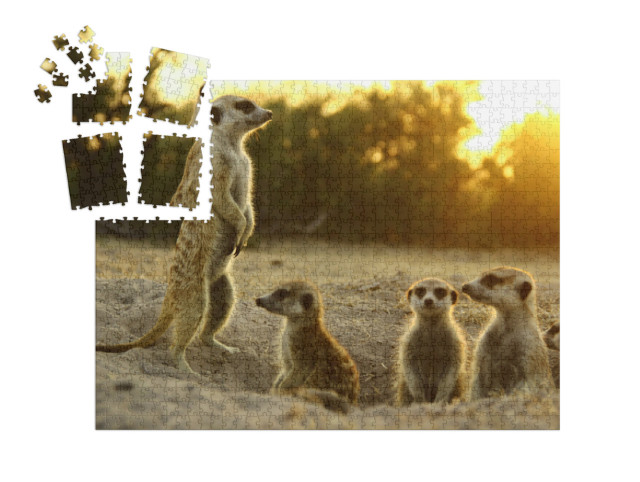 SMART SORTED® | Puzzle photo 1000 pièces « Suricates dans leur habitat naturel »