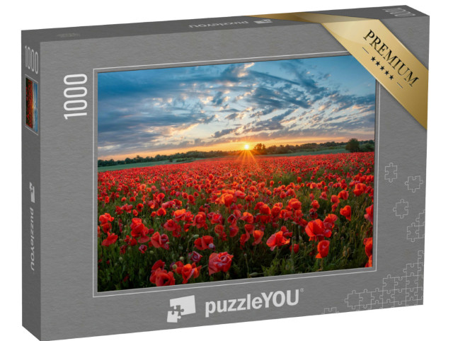 Puzzle de 1000 pièces « Champ de coquelicots rouges »