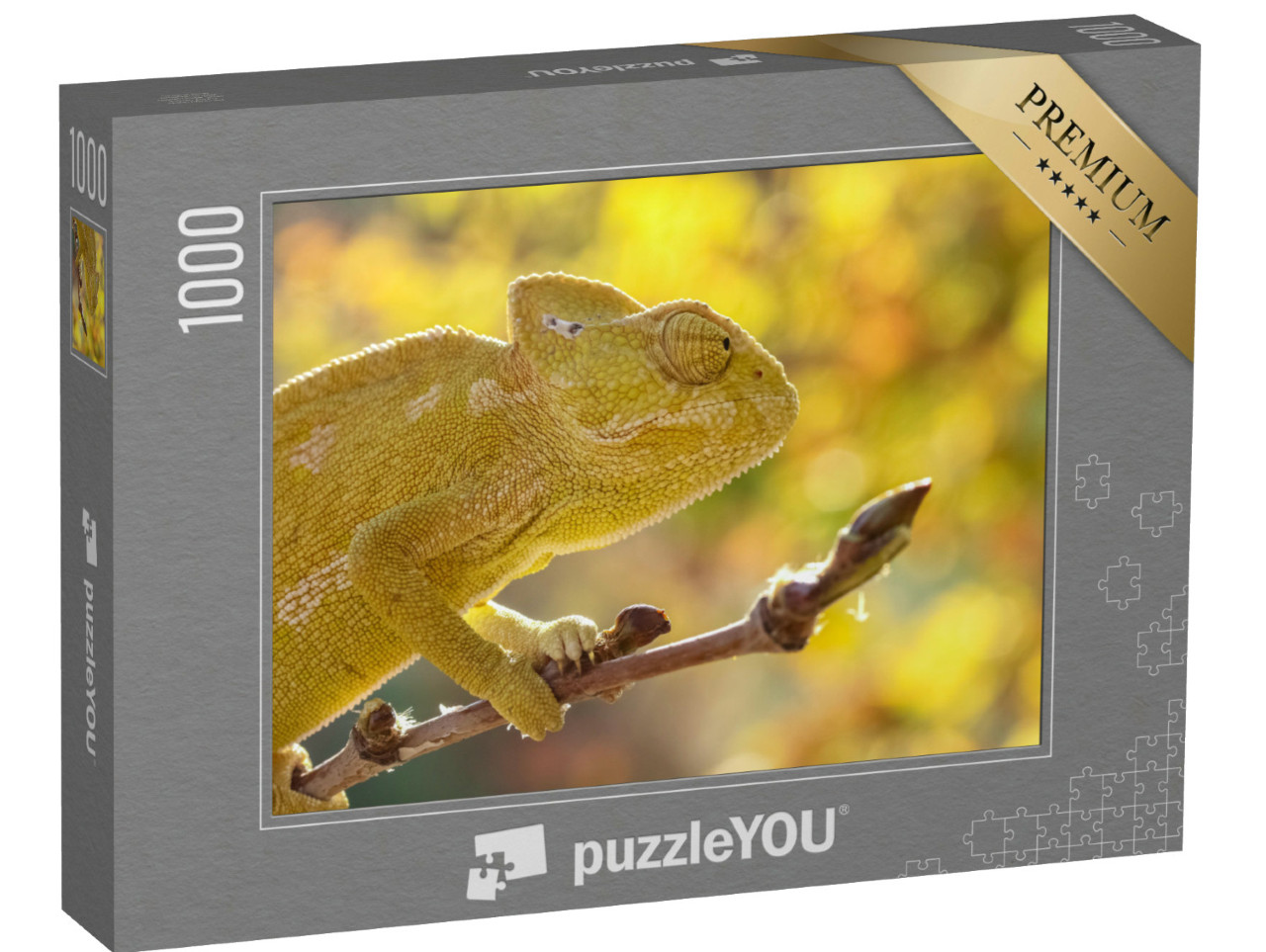 Puzzle de 1000 pièces « Caméléon commun, Chamaeleo chamaeleon, Turquie »