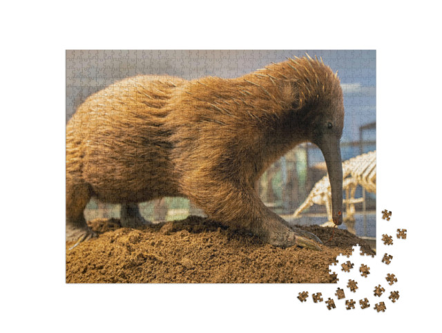 Puzzle de 1000 pièces « Le long bec australien, fourmilier épineux »