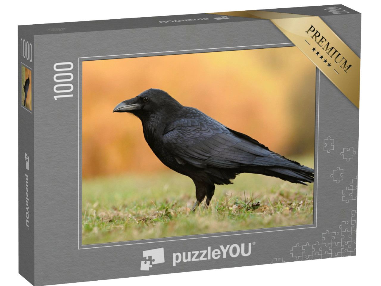 Puzzle de 1000 pièces « Le grand corbeau de la famille des passereaux »