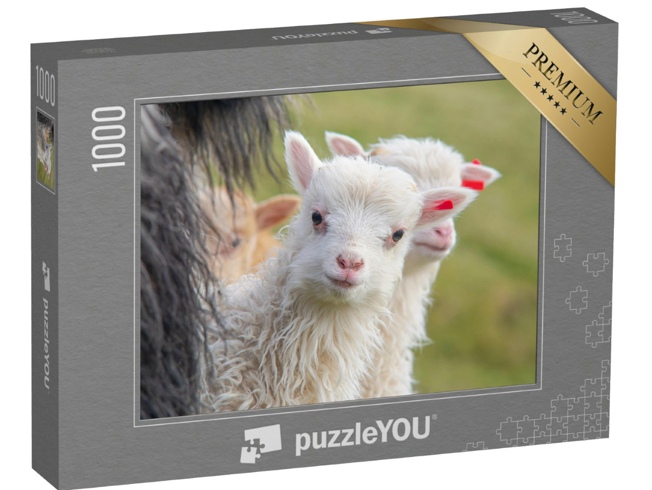 Puzzle de 1000 pièces « Un agneau regarde la caméra avec curiosité »