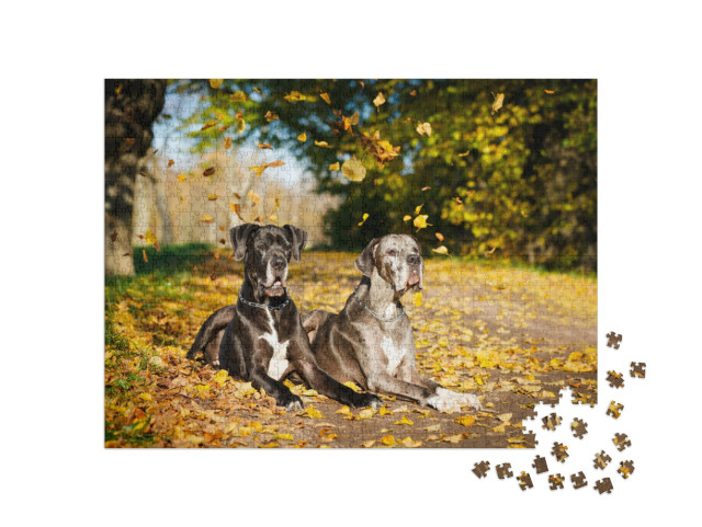 Puzzle de 1000 pièces « Deux dogues allemands »