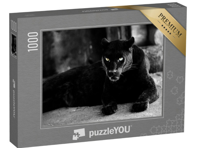 Puzzle de 1000 pièces « Belle panthère noire »