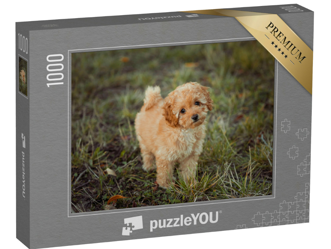 Puzzle de 1000 pièces « Petit caniche brun »