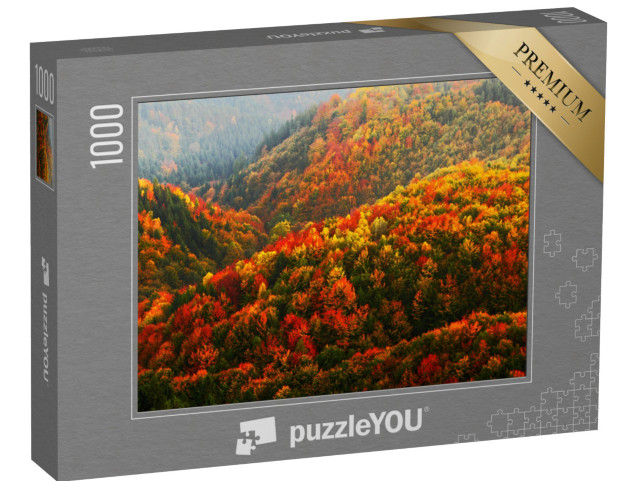 Puzzle de 1000 pièces « Automne dans le parc national de la Suisse tchèque, République tchèque »