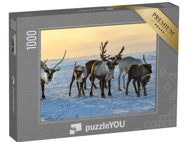 Puzzle de 1000 pièces « Troupeau de rennes dans la neige »