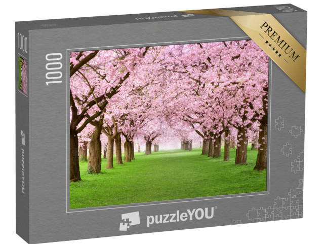 Puzzle de 1000 pièces « Jardin d'agrément avec des cerisiers en fleurs majestueux sur une pelouse verte et fraîche »