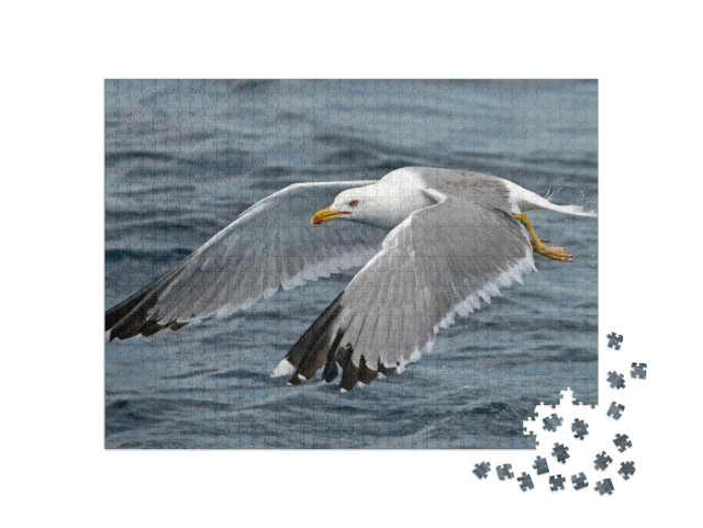 Puzzle de 1000 pièces « Une mouette en plein vol »