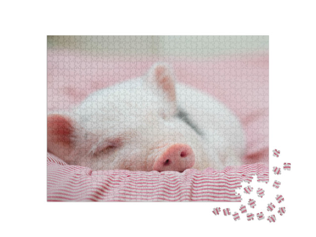 Puzzle de 1000 pièces « Petit porcelet en train de faire une sieste confortable »