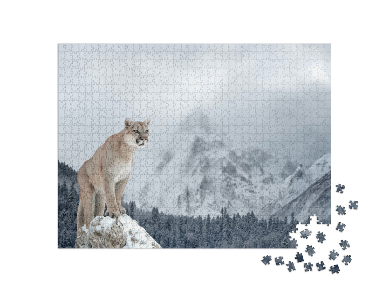 Puzzle de 1000 pièces « Portrait d'un puma dans les montagnes hivernales »