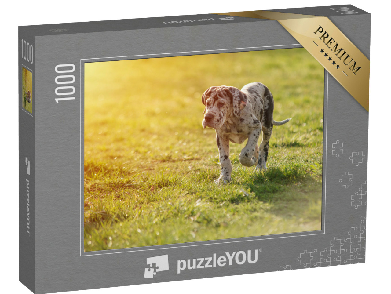 Puzzle de 1000 pièces « Dogue allemand sur la pelouse »