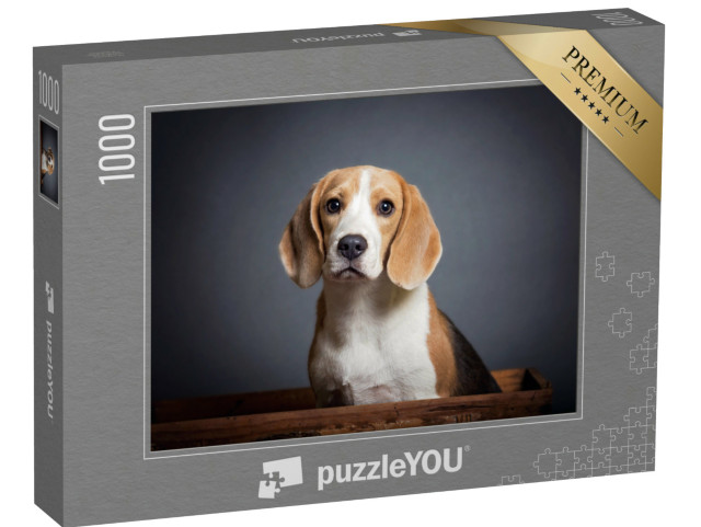 Puzzle de 1000 pièces « Portrait d'un chiot beagle »