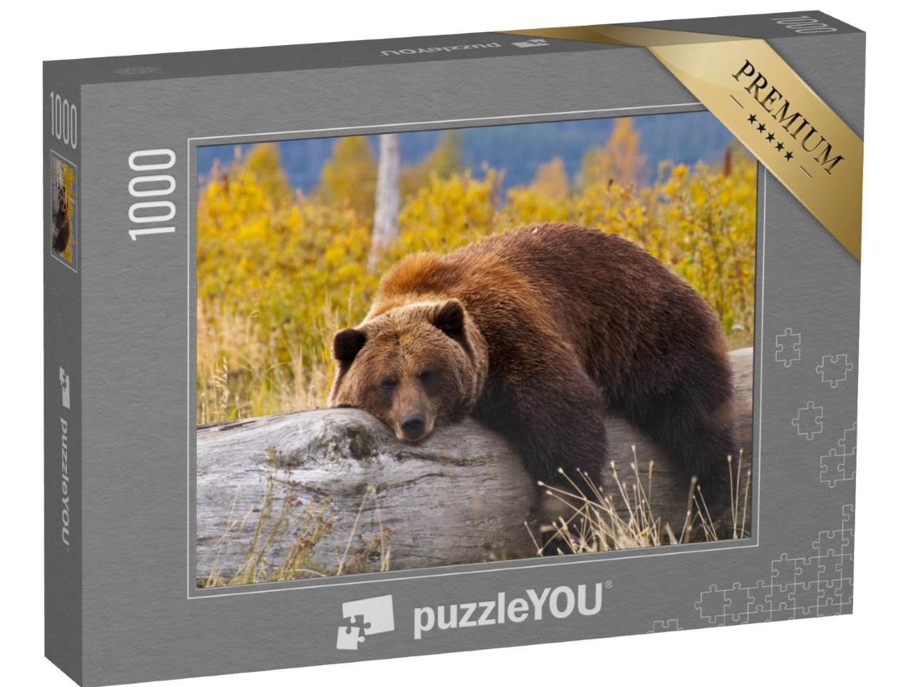 Puzzle de 1000 pièces « Grizzly, Alaska »