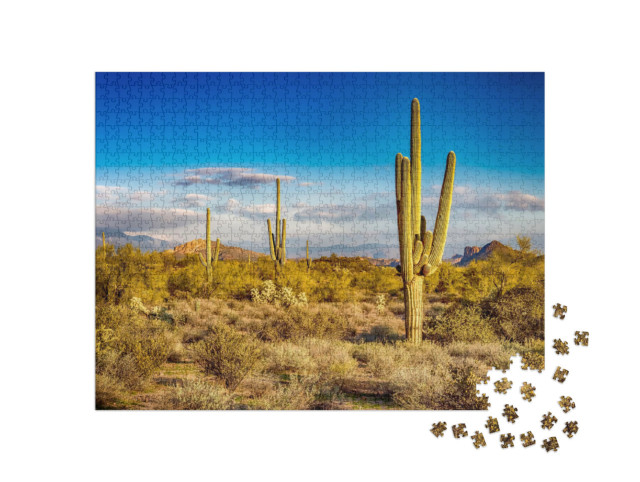 Puzzle de 1000 pièces « Cactus dans un paysage sauvage »