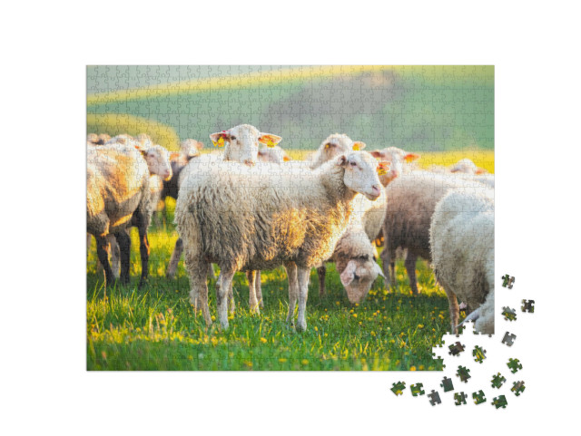 Puzzle de 1000 pièces « Moutons dans une prairie au coucher du soleil »