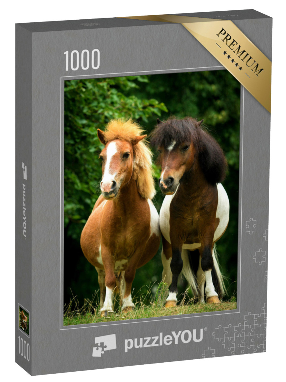 Puzzle de 1000 pièces « Deux petits poneys de peinture au pâturage »