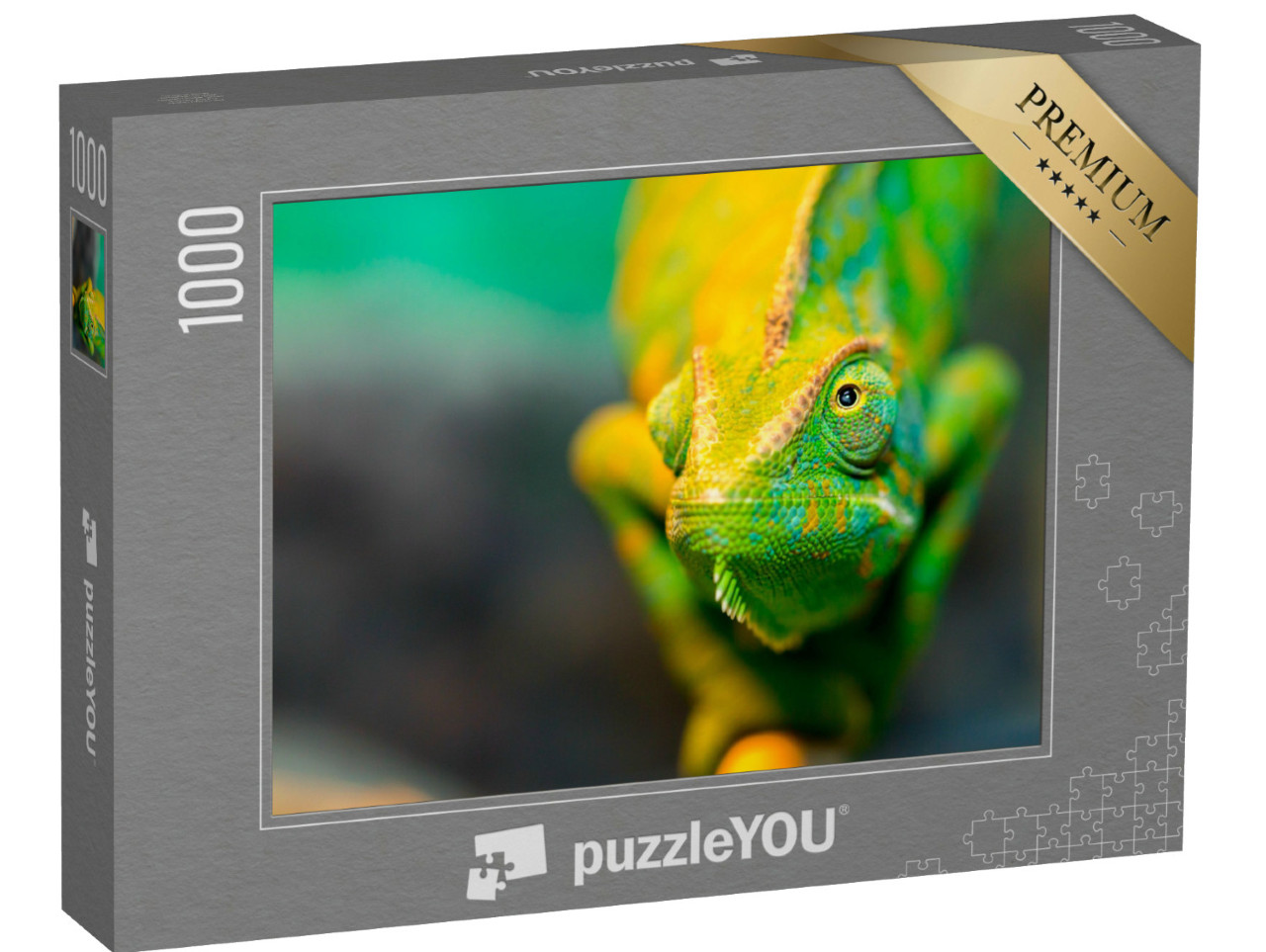 Puzzle de 1000 pièces « Caméléon, gros plan »