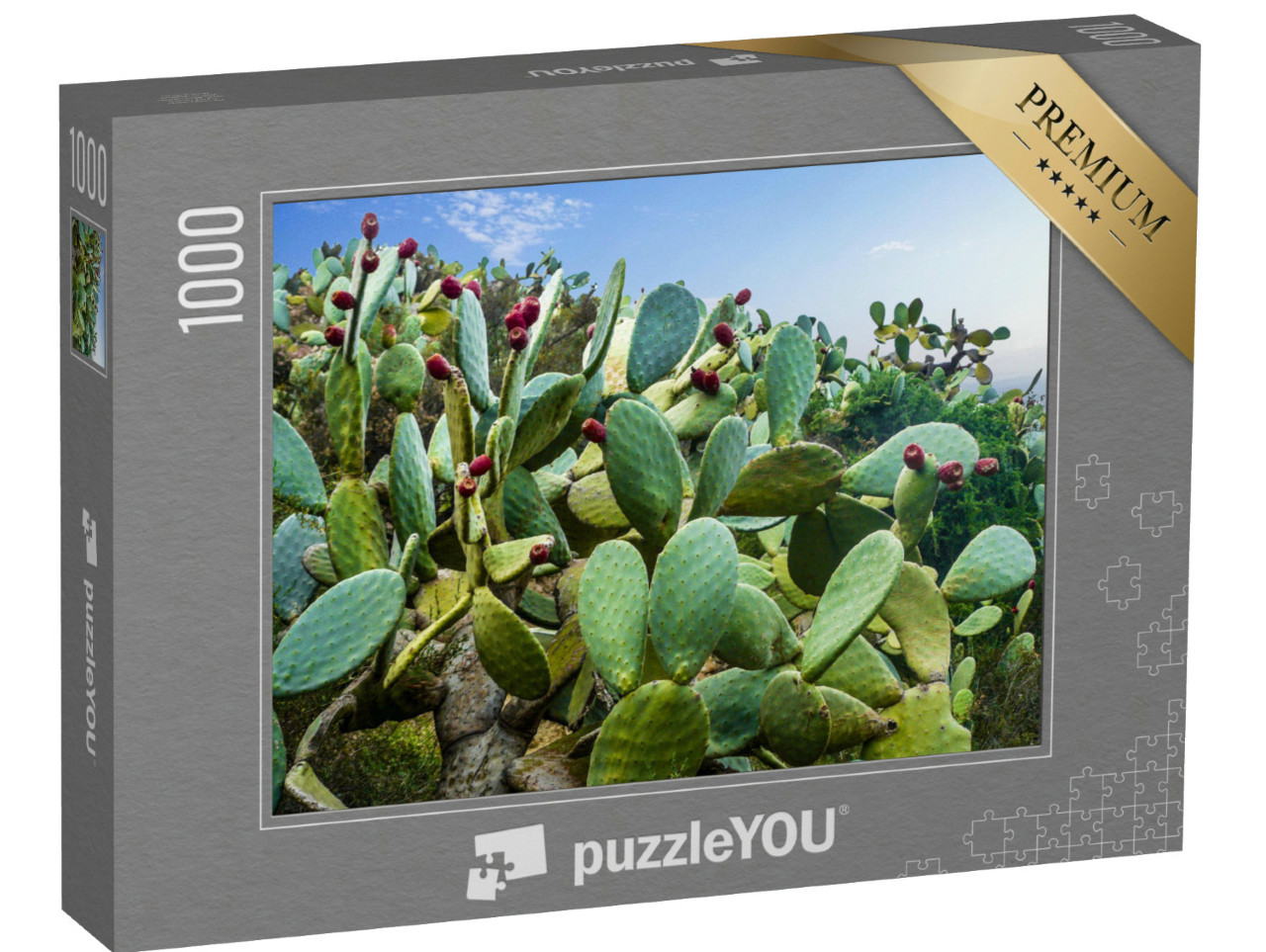 Puzzle de 1000 pièces « Champ de cactus près de Mexico »