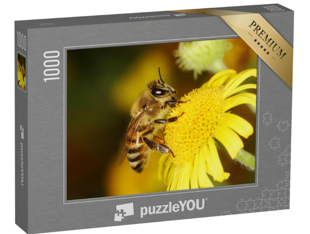 Puzzle de 1000 pièces « Une abeille à miel »