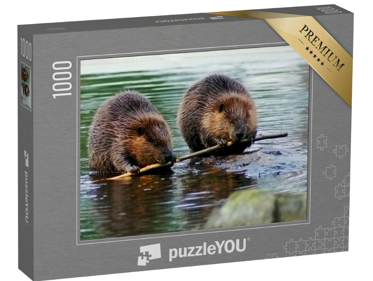 Puzzle de 1000 pièces « Un couple de castors »