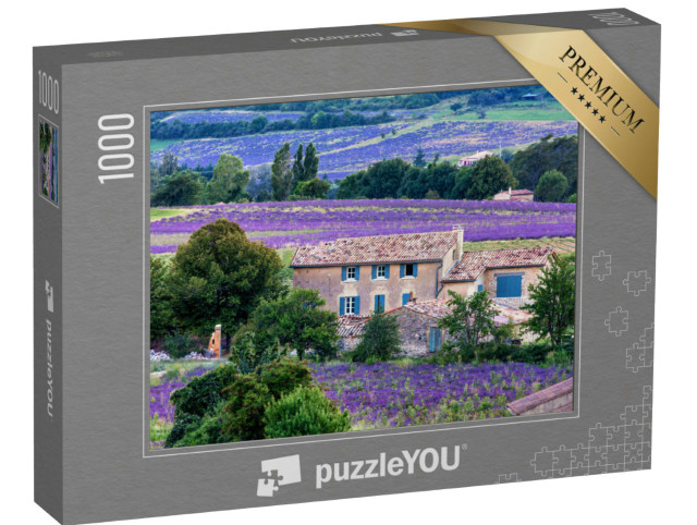 Puzzle de 1000 pièces « champ de lavande provence Sault »