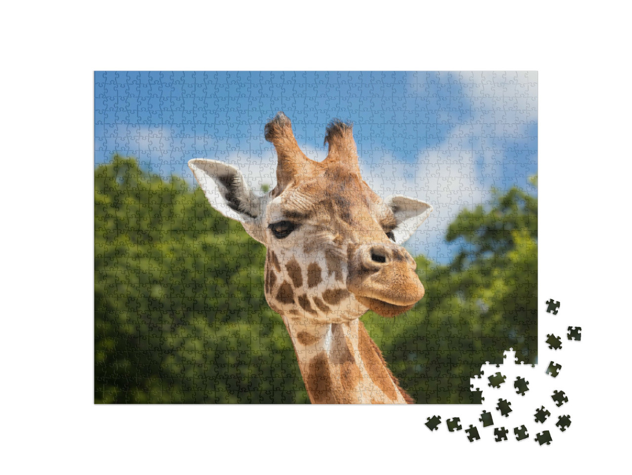 Puzzle de 1000 pièces « Girafe curieuse »