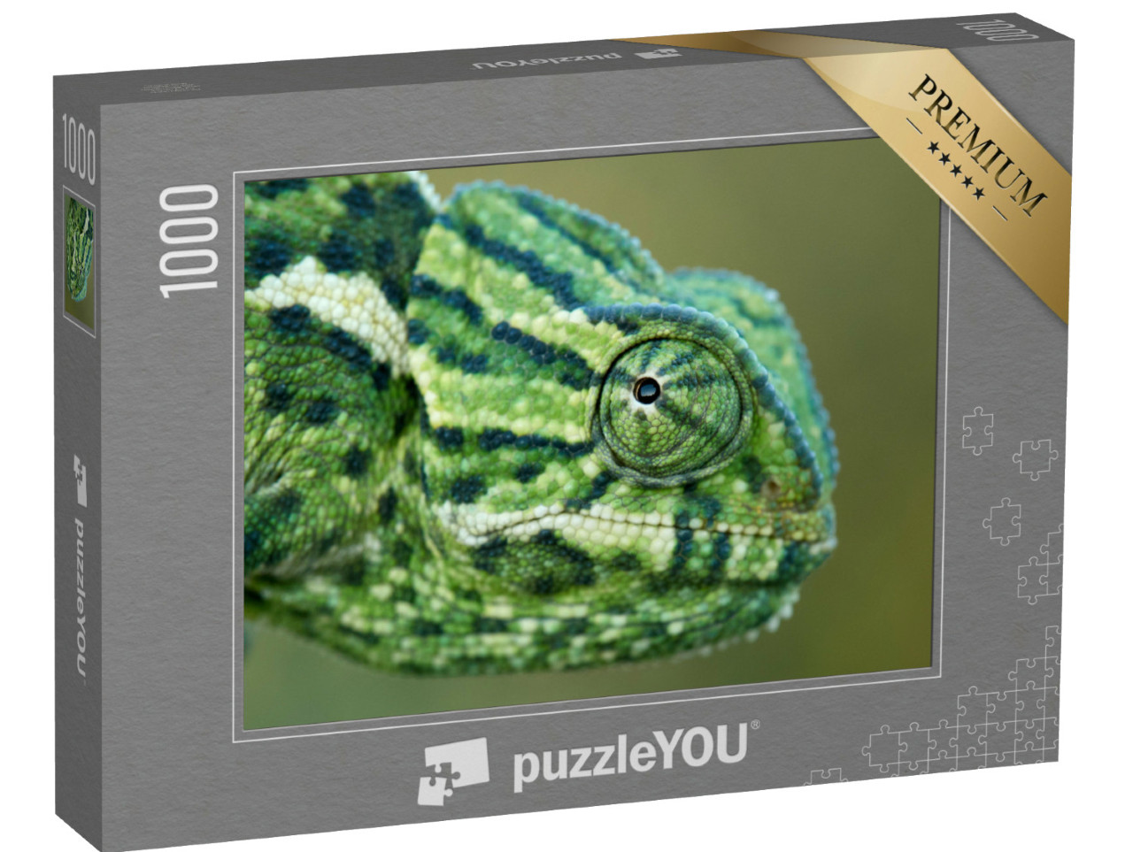 Puzzle de 1000 pièces « Un caméléon »