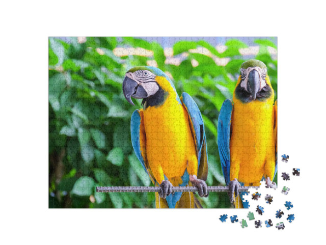 Puzzle de 1000 pièces « Perroquet ara à longue queue avec plumes multicolores »