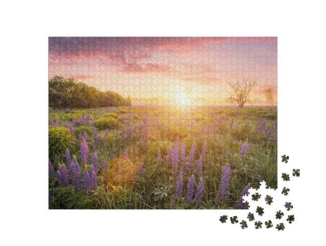 Puzzle de 1000 pièces « Rayons de soleil au-dessus d'une prairie de lupins en fleurs »