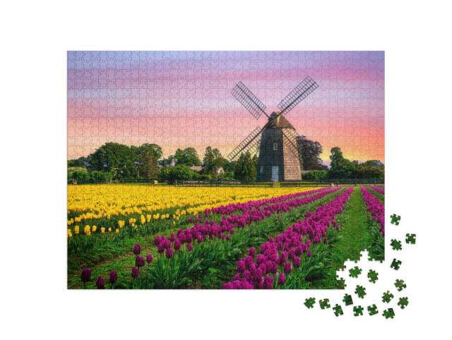 Puzzle de 1000 pièces « Moulin à vent dans un champ de tulipes avec des fleurs »