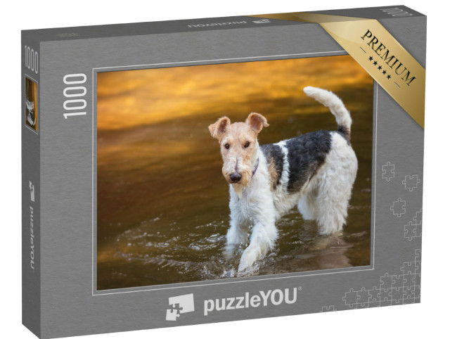 Puzzle de 1000 pièces « Fox-terrier à poil dur jouant dans l'eau »
