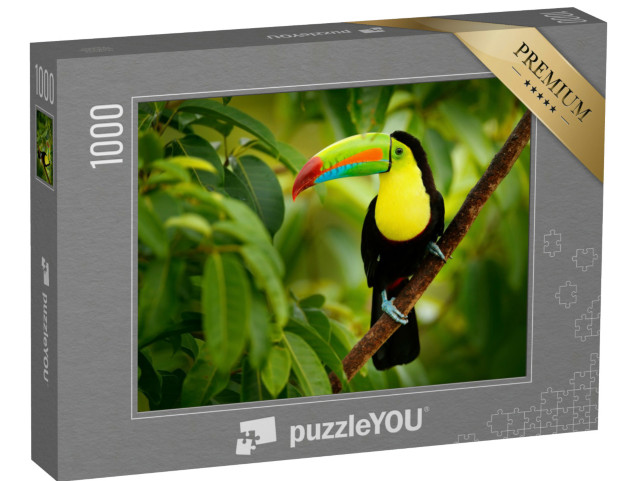 Puzzle de 1000 pièces « Toucan au Costa Rica »