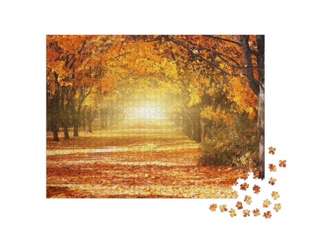 Puzzle de 1000 pièces « Allée d'arbres d'automne dorés »