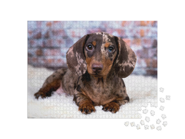 Puzzle de 1000 pièces « Teckel »