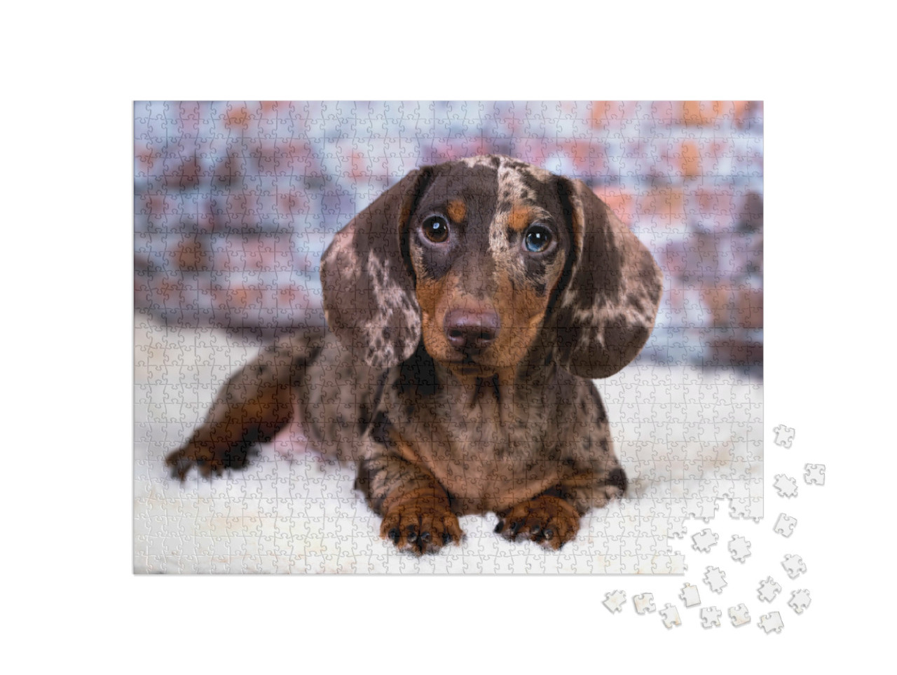 Puzzle de 1000 pièces « Teckel »