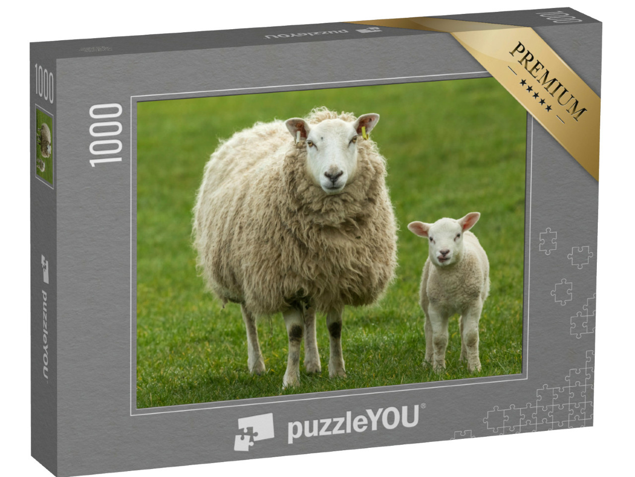 Puzzle de 1000 pièces « Brebis et son jeune agneau »