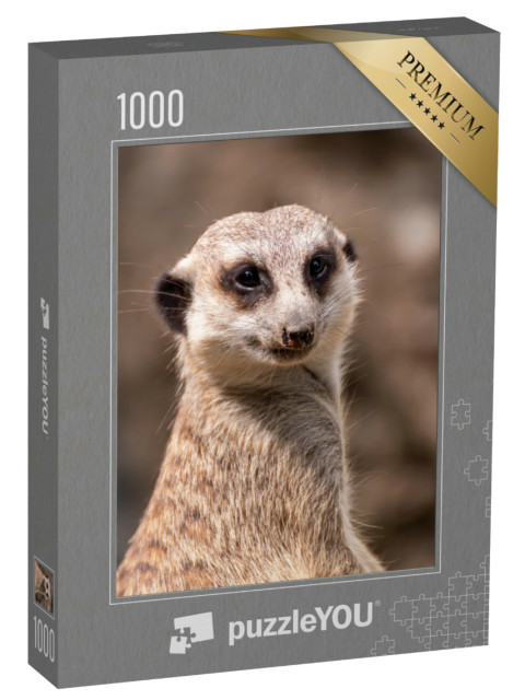 Puzzle de 1000 pièces « Les suricates au poste de garde »