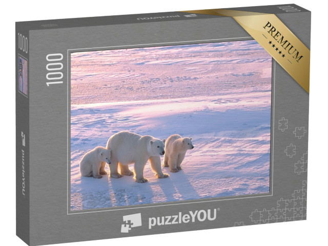 Puzzle de 1000 pièces « Ours polaire avec ses petits dans l'Arctique canadien »