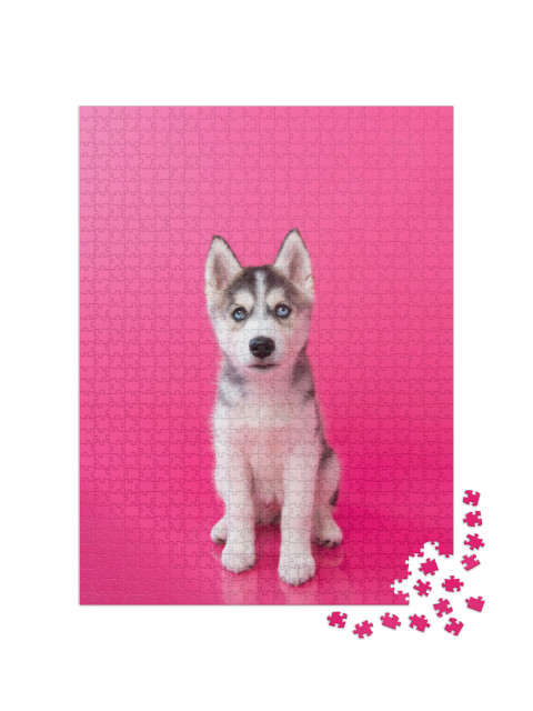 Puzzle de 1000 pièces « Chiot husky sur fond rose »