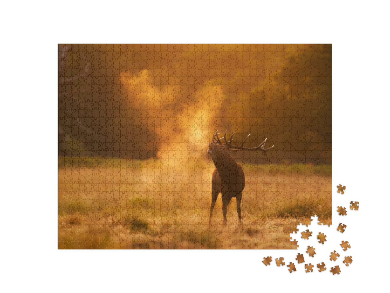 Puzzle de 1000 pièces « Cerf élaphe à l'appel pendant la période du rut »