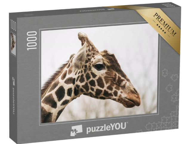 Puzzle de 1000 pièces « Girafe réticulée, également connue sous le nom de girafe masaï »