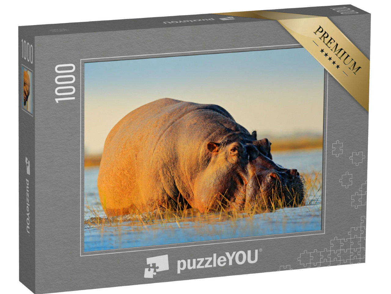 Puzzle de 1000 pièces « Hippopotame africain, hippopotame amphibie Capensis, avec soleil couchant, rivière Chobe, Botswana »