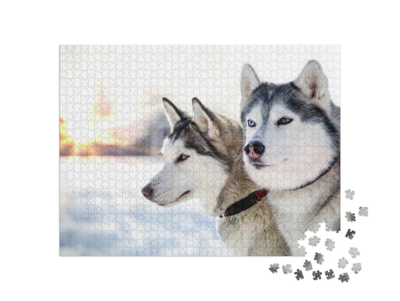 Puzzle de 1000 pièces « Deux huskies sibériens dans un coucher de soleil hivernal »